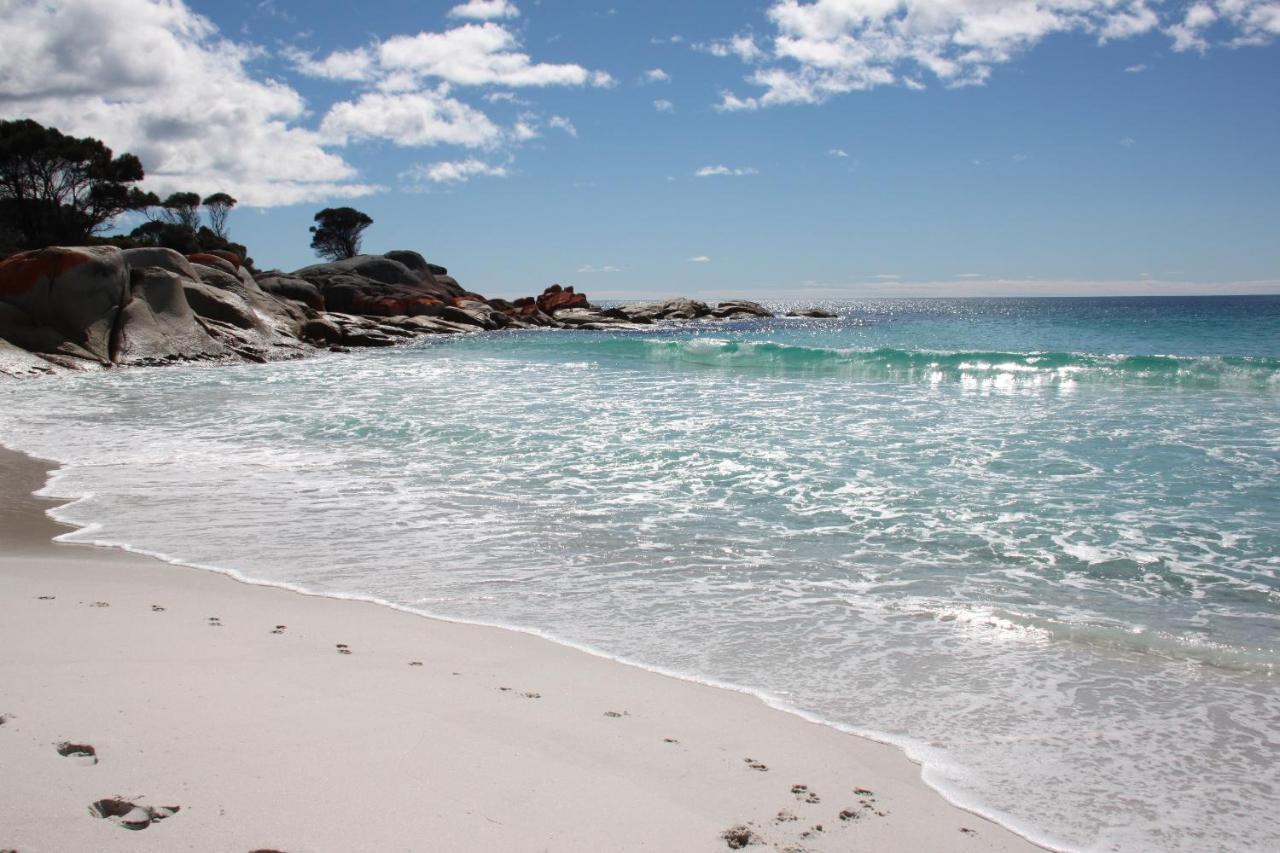 Sea Eagle Cottage Amazing Views Of Bay Of Fires Binalong Bay エクステリア 写真